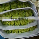 wholesale high quality fresh cut carnation