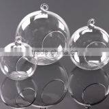 Clear Glass Vase Globe Glass Landscape Bottle Beautiful thumbnail-4