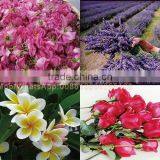 10L Essential Oil Distillation Equipment Lime Essential Oil Distillation thumbnail-3