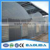 Galvanized Pipes Steel Structure 8m/9m/10m Greenhouse For Tomato thumbnail-6