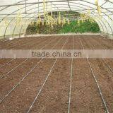 Hot Sale Agricultural Tunnel Greenhouses and Prices thumbnail-4