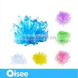 DIY Handmade Gifts for Kids - Crystal Growing Kit Flower thumbnail-1