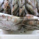 Hgh Quality Frozen Headless Black Tiger Shrimp thumbnail-1