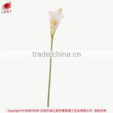 Dongguan Wholesale Artificial Flower Calla Lily Synthetic Flower Calla Lily Fake Flower Calla Lily thumbnail-3