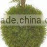 Artificial Ball Tree Topiary for Home Decor thumbnail-2