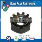 Made in Taiwan Black Oxide Plated Steel Stainless Steel Zinc Finish Steel Keps K Lock Nut thumbnail-2