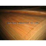 Sell Rotary Cut Veneer thumbnail-2