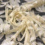 2017 Hot Selling Pearl Beaded Ivory Lace Fabric Lace Embroidered Wedding Bridal Fabric thumbnail-2