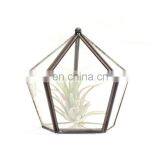 Terrarium Geometric Glass Terrarium Wholesale thumbnail-4