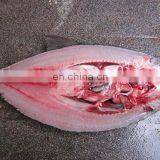 Electric Fish Killing Machine High Speed Fish Killing Machine Stainless Steel Fish Killing Machine thumbnail-4