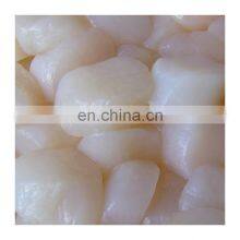 Good Taste Dried Scallop Meat for Sale thumbnail-5