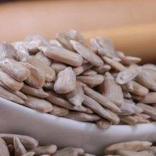 sunflower seed kernel
