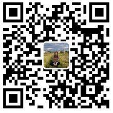 Shenzhen Mcoller Technology Co., Ltd
