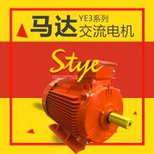 YE3 Series Low-Voltage Motor AC MOTOR thumbnail-2