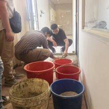 PCE WR50 HRWR - High Range Water Reducing-Type PolyCarboxylate Ether (PCE) Polymer thumbnail-4