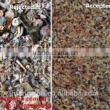 Dry Shrimp Color Separating Machines Shrimp Pieces Sorting Machinary Shrimp Pieces Separting Machine