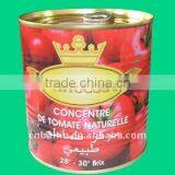 Powerseller!Canned tomato paste400*24