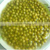 Canned Bean,canned Green Pea,garden Pea , in Tin by Different Specifications thumbnail-1