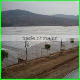 Suntex Virgin PE Protective Anti-aging Impervious Greenhouse Film,tunnel Greenhouse Roof Covers Seeding Nursery Warm House Film thumbnail-5