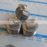 Stainless Steel Pipe Fitting 3/4 Inch Square Plug
