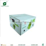 EXCELLENT QUALITY CARDBOARD BOXES FOR FRUIT CUSTOM ORDER