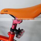 High Power Lithium Battery Electric Bike 2015 thumbnail-6