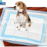 Hot Sale Disposable YINJING Pet Pad