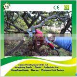 Garden Battery Powered Pruning Shears thumbnail-5