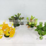 All types of artificial mini bonsai plant potted plant export from China