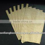 Paper Bag Protective For Fruit