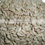 Chinese Sunflower Seeds Kernels for Sale