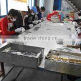 Zona Industries company overview - view 2 thumbnail