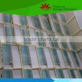 High Quality Eggplant and Fruit Diseases Prepared Microscope Slides for Research
