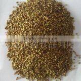 Chinese Coriander Seeds thumbnail-2