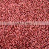 Whole Foods Goji Berry Dried Wolfberry thumbnail-2