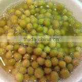 CANNED GREEN PEAS WITH FACTORY PRICE AND GOOD QUALITY