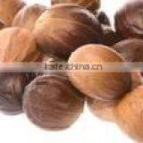 Nutmeg Seeds Without Shell Indian thumbnail-2