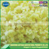Professional Supplier Export Frozen Garlic Dices and Garlic Cube 3*3mm thumbnail-2