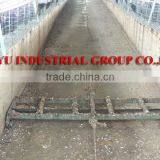 TAIYU Save Labor Cost and Easy Clean Poultry Manure Cleaning Scraper thumbnail-1