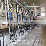 Cow Milking Equipment For Dairy Farm