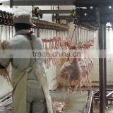 China Best Selling Poultry Slaughter House 500bph/1000bph/4000bph thumbnail-1