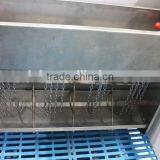 Nursing Single Side Feed SS Pig Feeder