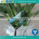 Desfire 2K RFID Epoxy Tags thumbnail-1