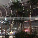 Artificial Tall Palm Tree for Airport Public Decoration thumbnail-4