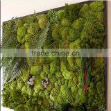 Plastic Green Wall for Living Room Decoration Moss Green Wall Decoration thumbnail-2