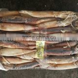 natural frozen illex squid wholesale