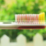 New Holder for Toothbrush Dental Health Products With Micro Brush thumbnail-3