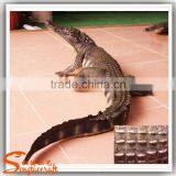 Factory Hot Sale Garden Statue Molds Wholesale Statue Molds for Sale Fiberglass Large Outdoor Park Decorations Statue thumbnail-3
