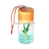 Live Mini Plant and Plant Pet Tree thumbnail-5