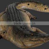 Crocodile 12ft thumbnail-1